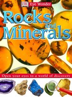 Rocks and Minerals
